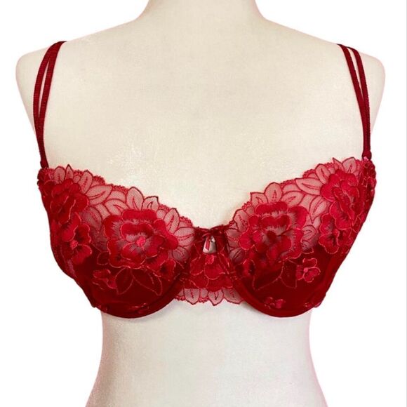 Victoria’s Secret Vintage Y2K DREAM ANGELS Red Lace floral Mesh Balconet Bra 34B - Picture 1 of 7